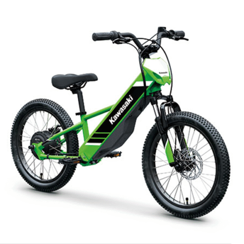 New 2024 Kawasaki Electric Motorcycle Motorcycle ELEKTRODE 20